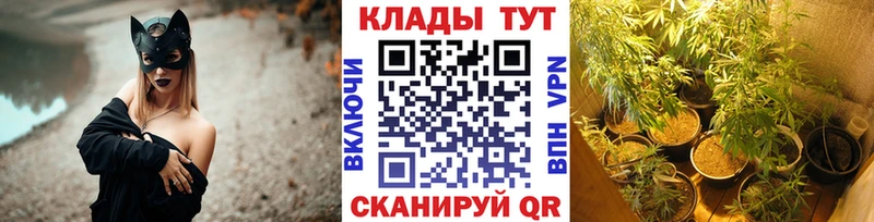 Виды наркотиков купить Шатура Псилоцибиновые грибы Cocaine ГАШИШ Бошки Шишки