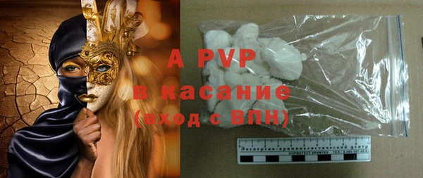 стафф Алзамай