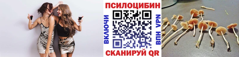 Галлюциногенные грибы MAGIC MUSHROOMS  Шатура 