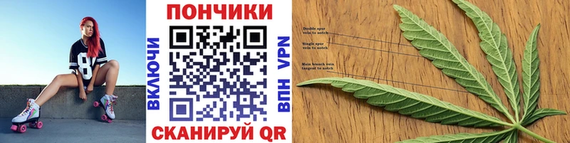 дарнет шоп  Шатура  Бошки марихуана гибрид 